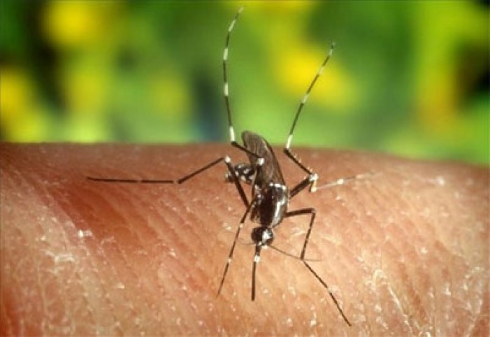 Reportan primer caso de virus del Nilo en un humano