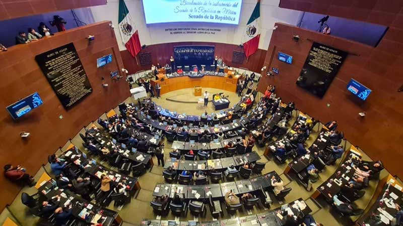 Senado reelige a Rosario Piedra en la CNDH en medio de cuestionamientos